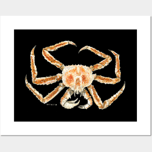 King crab Posters and Art